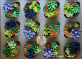 Succulent cupcakes1